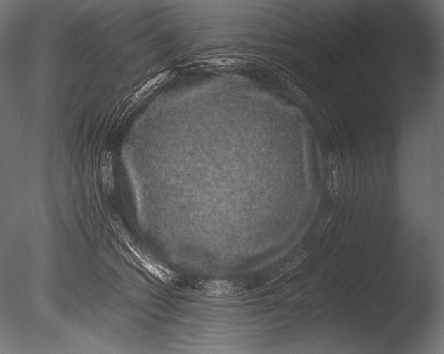 X0000085050562200703261141