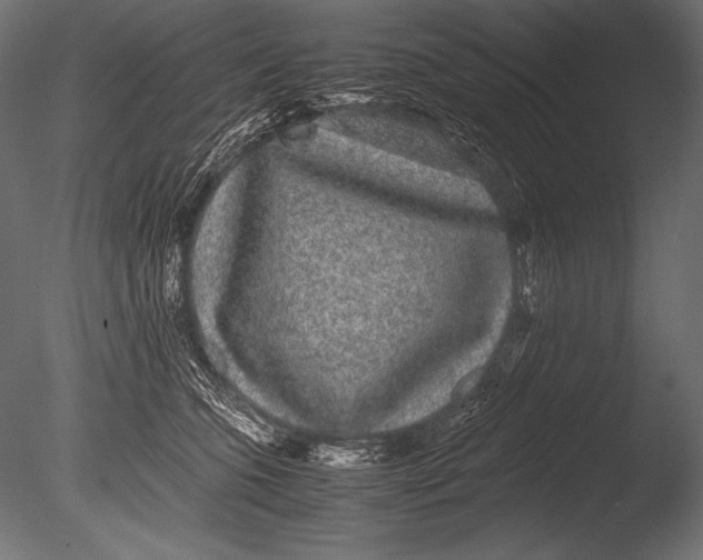 X0000085050563200703261141