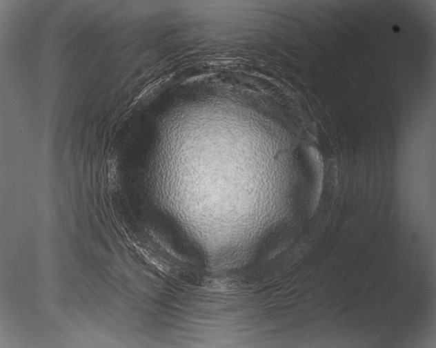X0000085050564200703261141