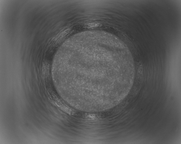 X0000085050565200703261141