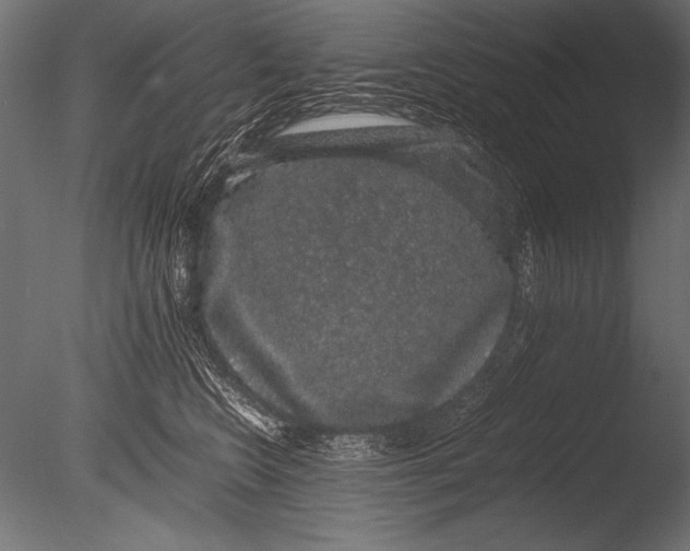X0000085050566200703261141