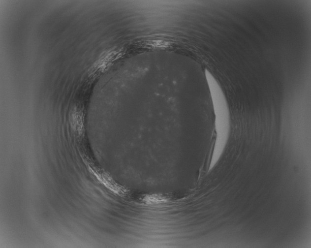 X0000085050568200703261141