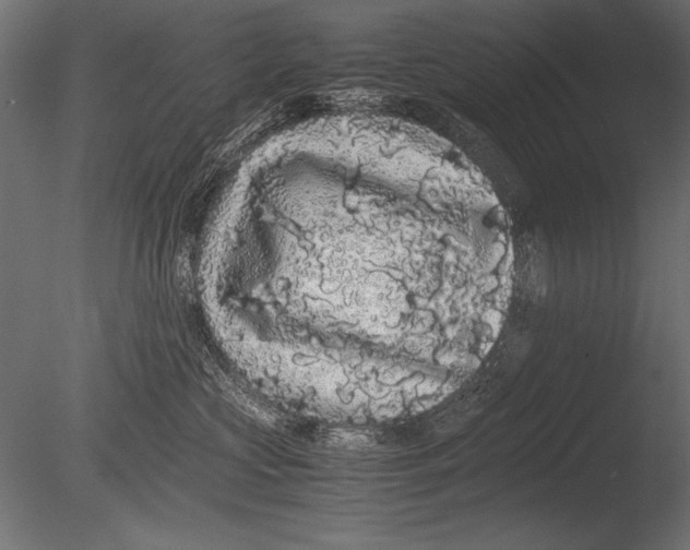 X0000085050573200703261141