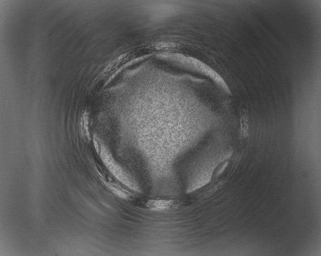 X0000085050575200703261141