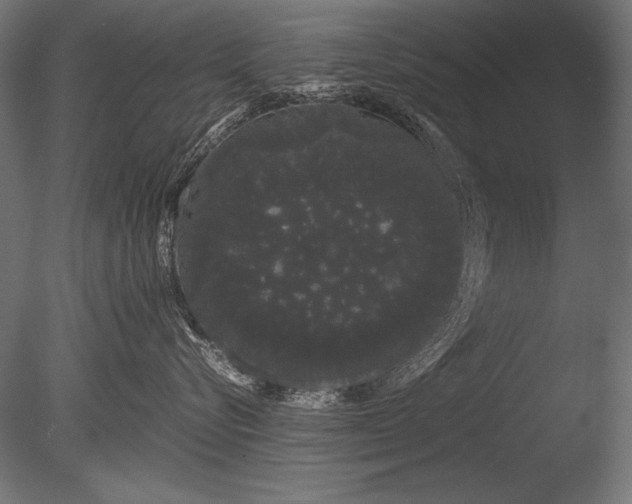 X0000085050576200703261141