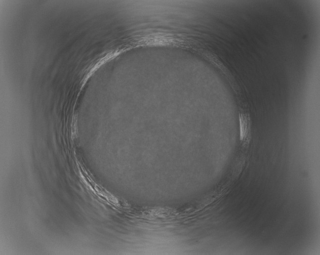 X0000085050579200703261140