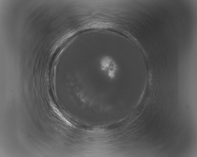 X0000085050581200703261140
