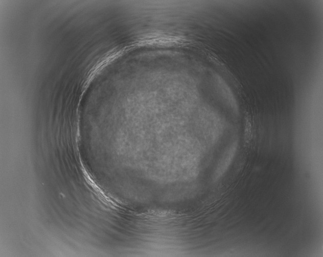X0000085050582200703261140