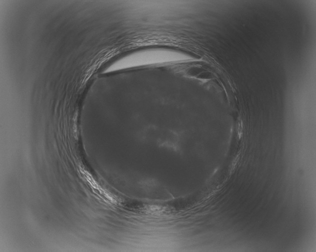X0000085050585200703261140