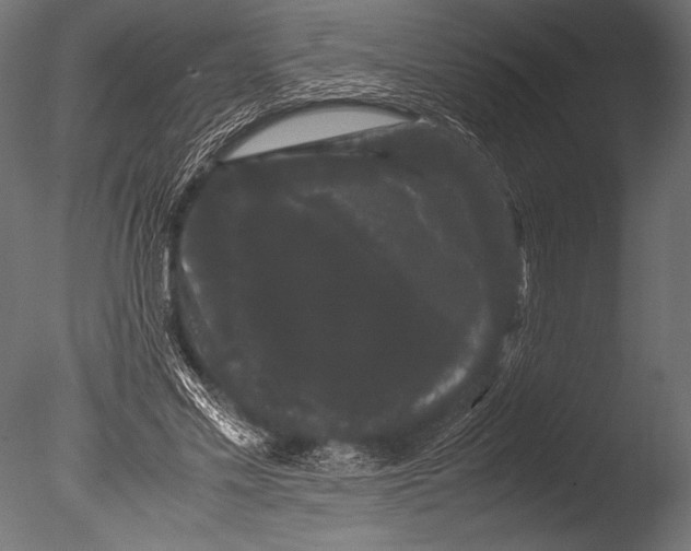 X0000085050589200703261140