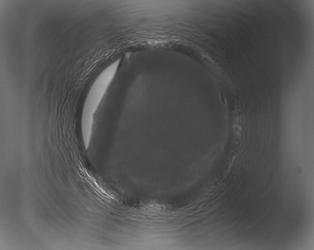 X0000085050593200703261140