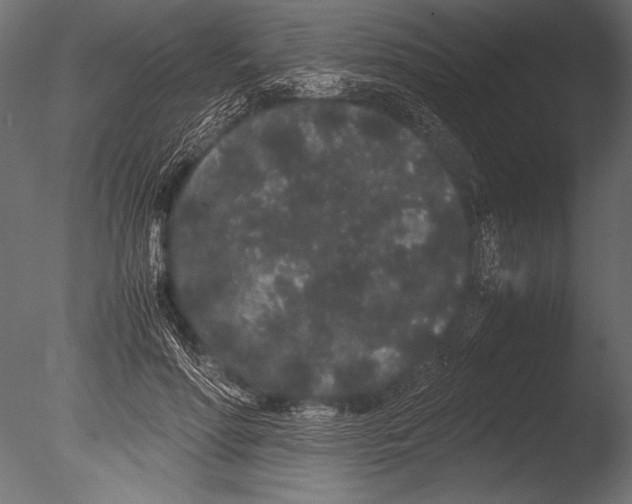 X0000085050598200703261140