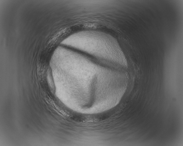 X0000085050601200703261140
