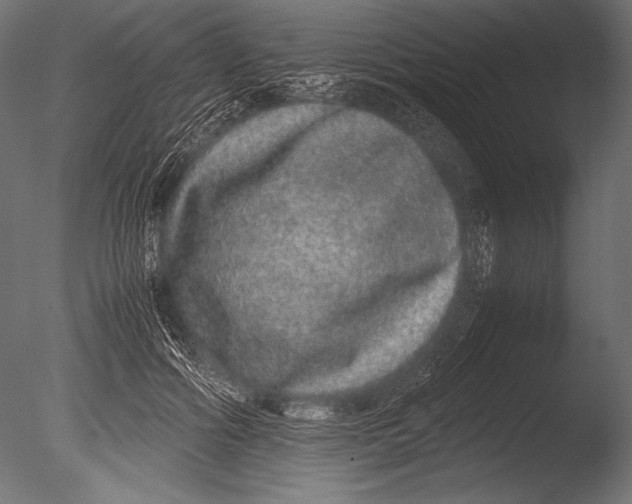 X0000085050602200703261140