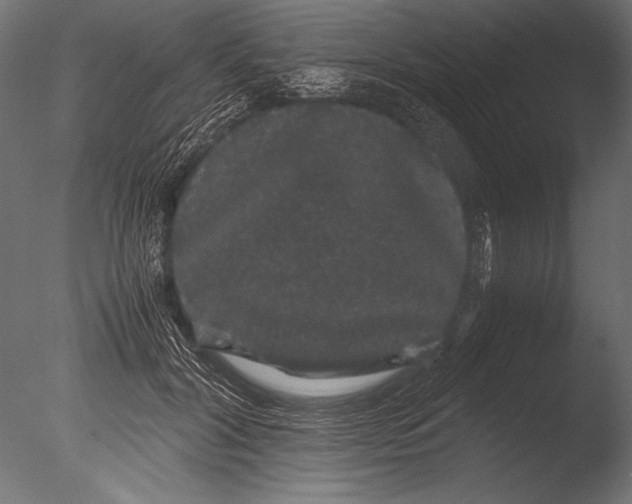X0000085050604200703261140