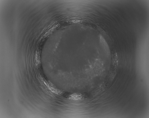X0000085050606200703261139