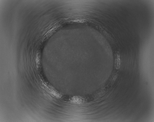X0000085050608200703261139