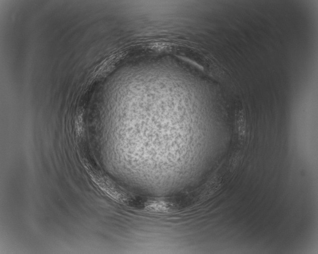 X0000085050611200703261139