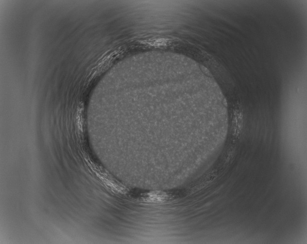 X0000085050612200703261139