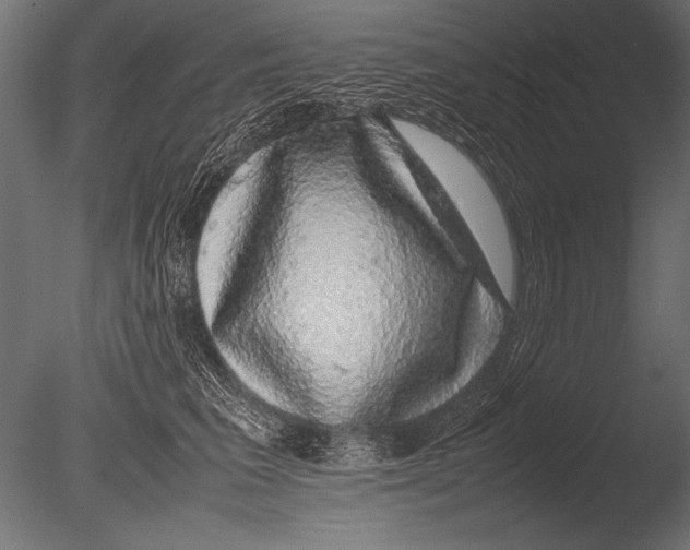 X0000085050613200703261139