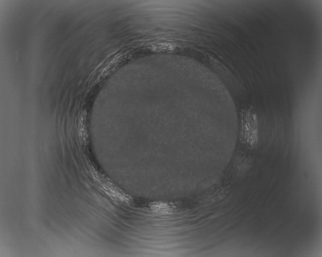 X0000085050616200703261139