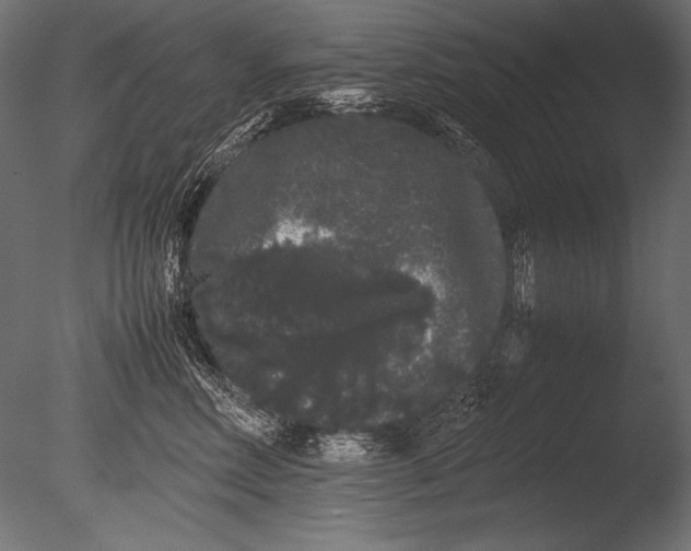 X0000085050618200703261139