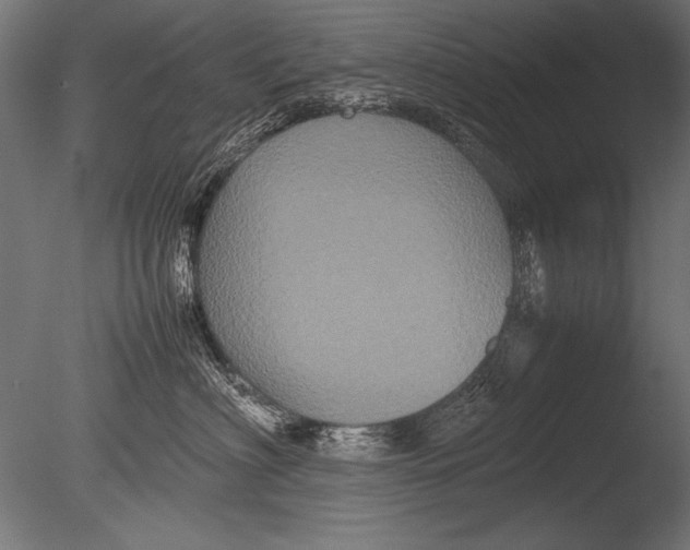 X0000085050622200703261139