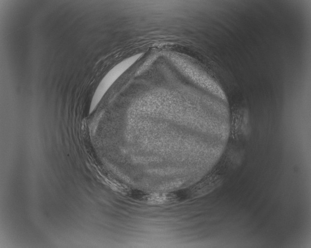 X0000085050623200703261139