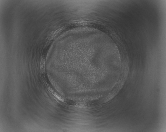 X0000085050624200703261139
