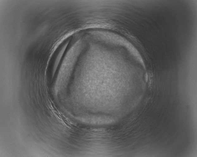 X0000085050628200703261138