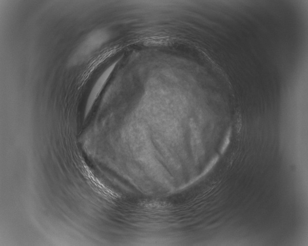 X0000085050637200703261139