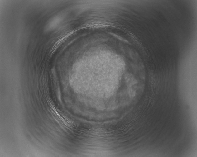 X0000085050640200703261139