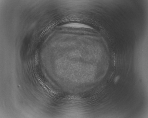 X0000085050644200703261139