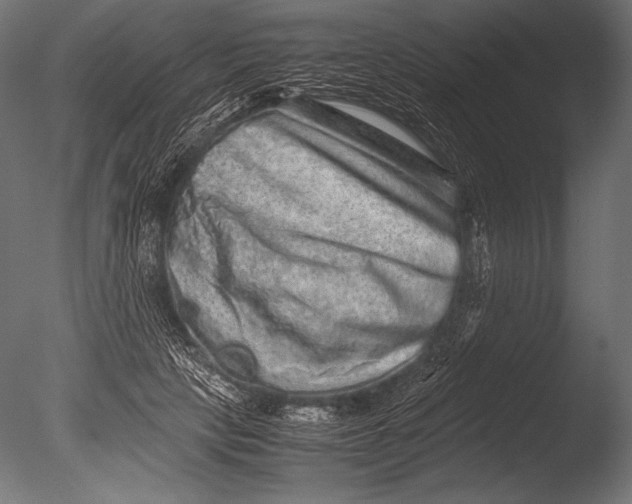 X0000085050649200703261139