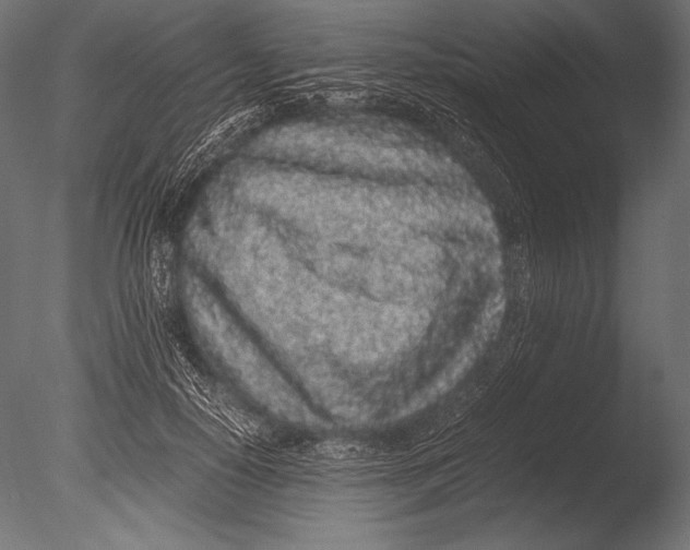 X0000085050650200703261139