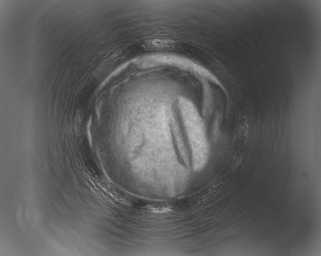 X0000085050651200703261139