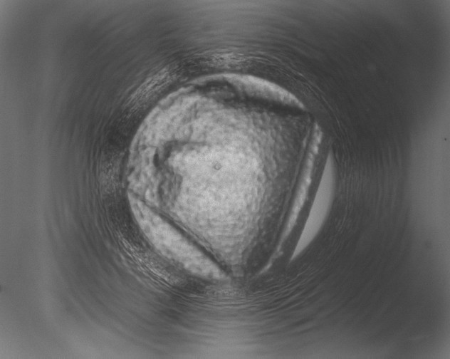 X0000085050652200703261139