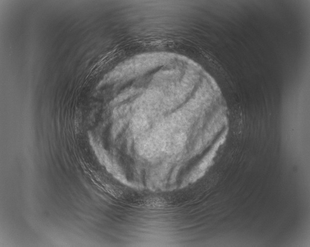 X0000085050656200703261139