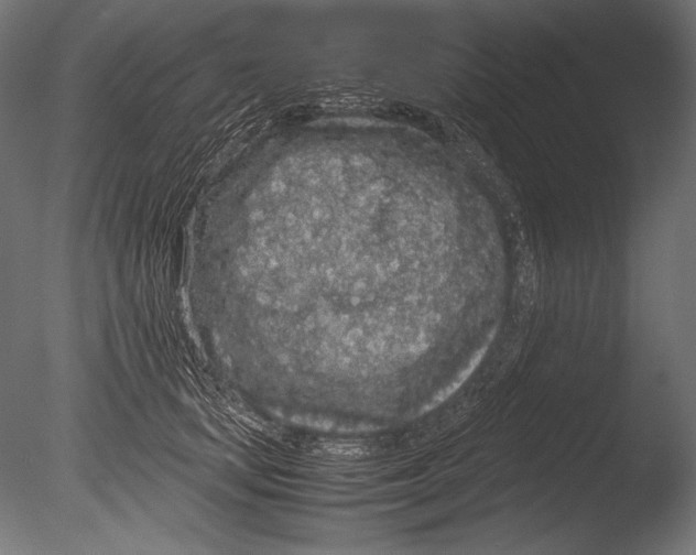 X0000085050659200703261139