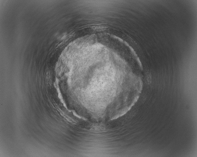 X0000085050666200703261139