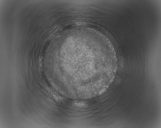 X0000085050667200703261139