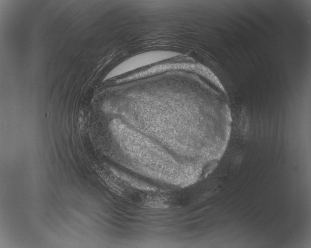 X0000085050669200703261139