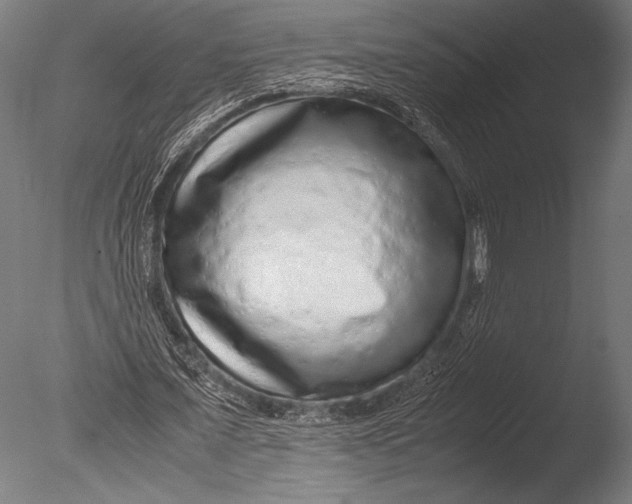 X0000085050675200703261138