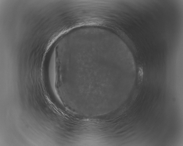 X0000085050676200703261138