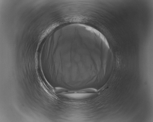 X0000085050678200703261138