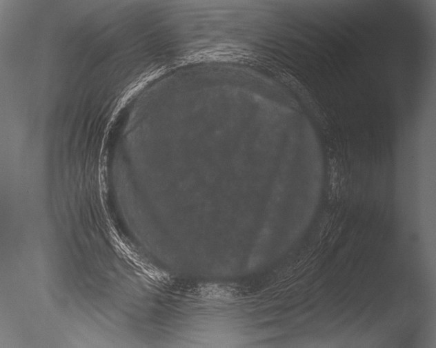 X0000085050680200703261138
