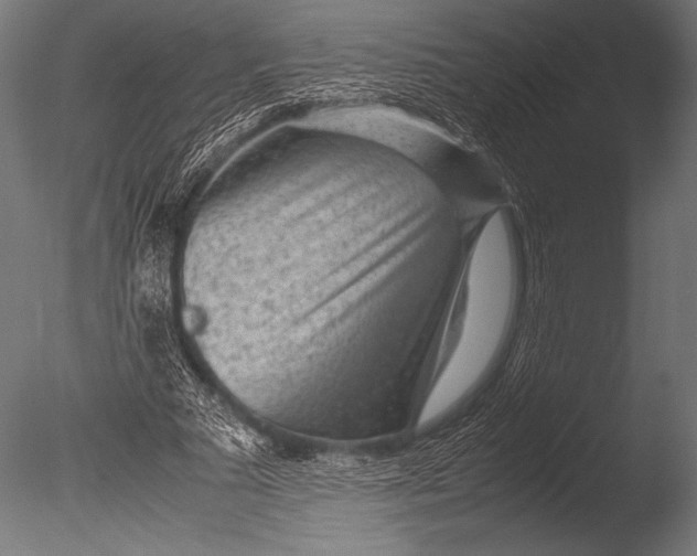 X0000085050681200703261138