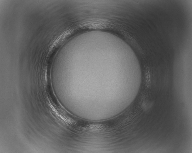 X0000085050686200703261138