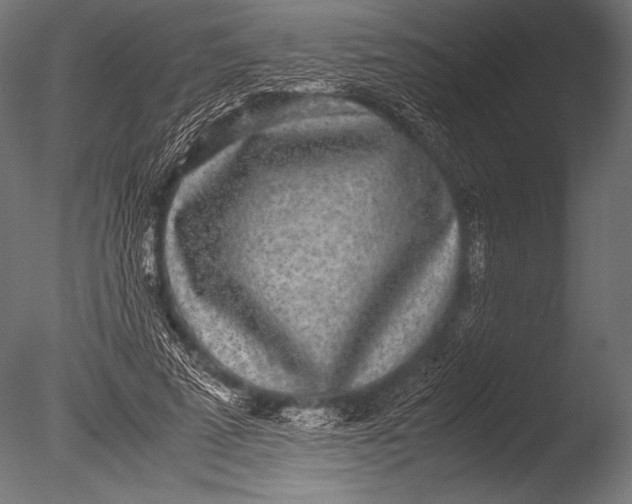 X0000085050689200703261138