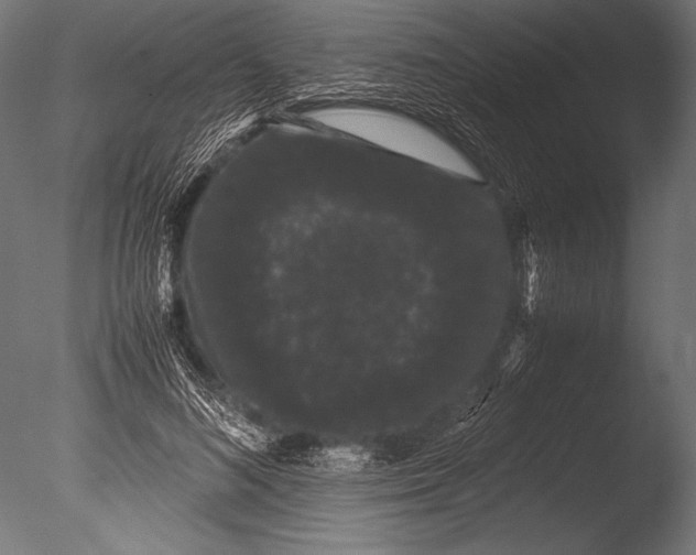 X0000085050692200703261138